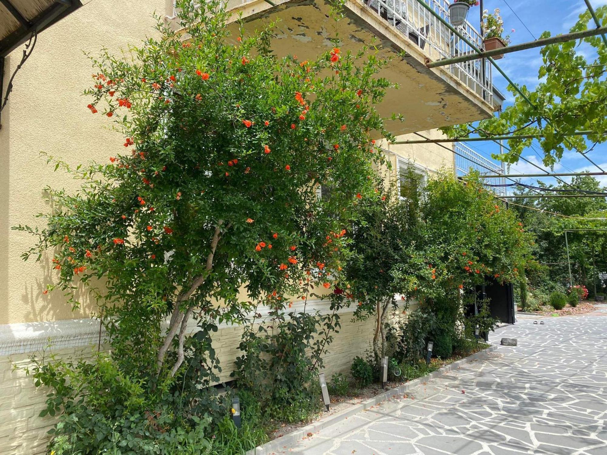 Ekas Rosengarten Gori Exterior foto